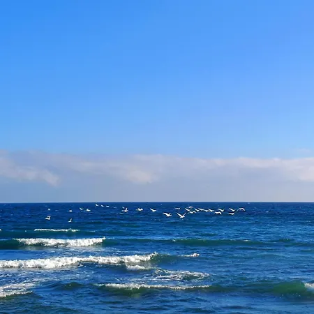 Babica Coastal Retreat Costinesti